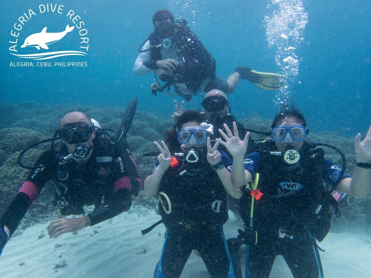 Alegria Dive Resort Esterno foto